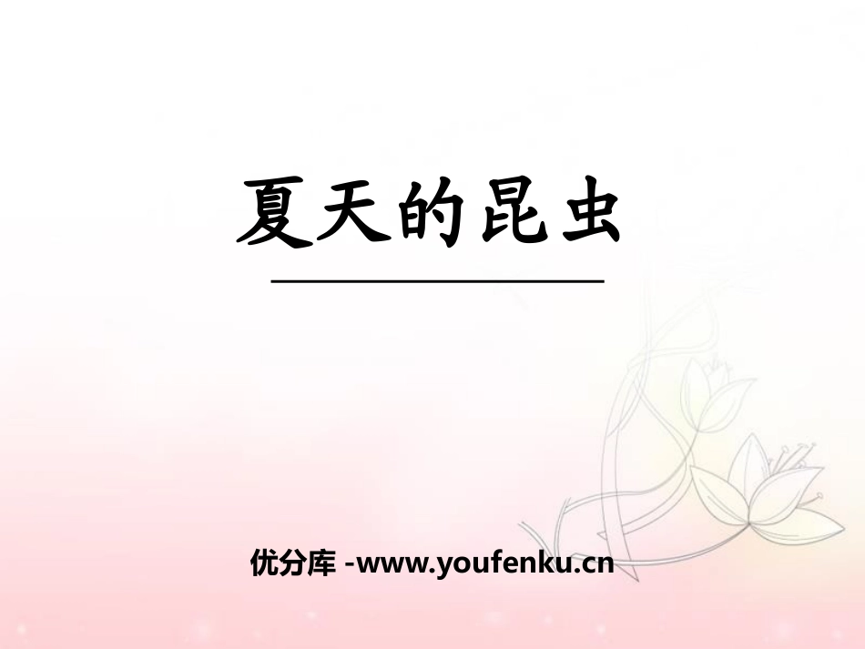 《夏天的昆虫》PPT课件[苏教版七年级语文下册]_第1页