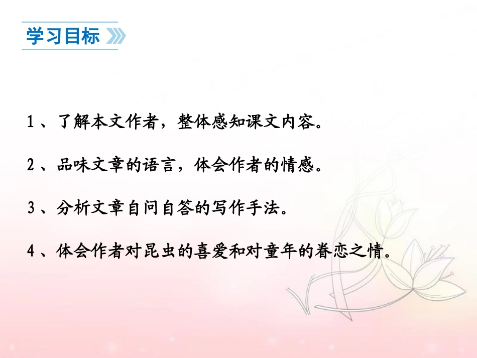 《夏天的昆虫》PPT课件[苏教版七年级语文下册]_第2页