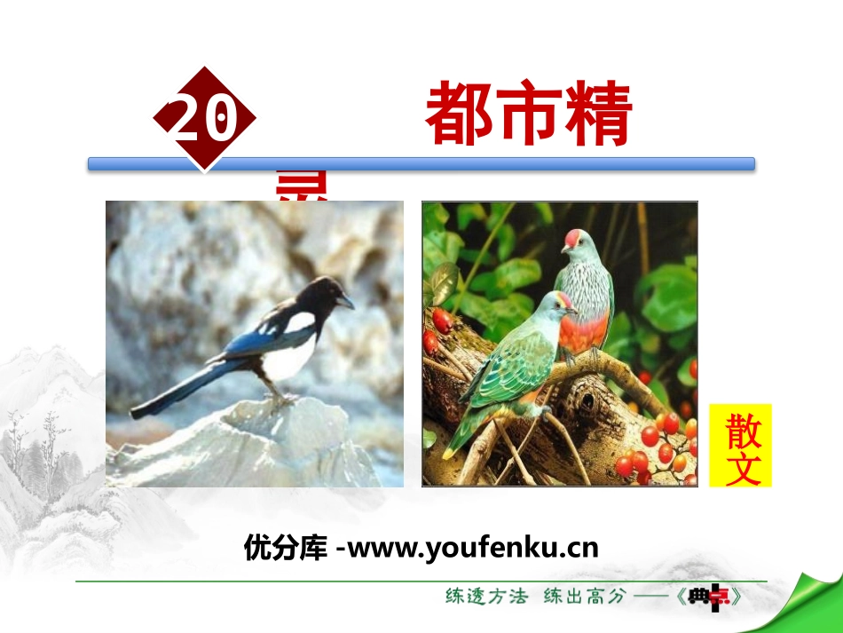 《都市精灵》PPT课件[苏教版八年级语文上册]_第1页