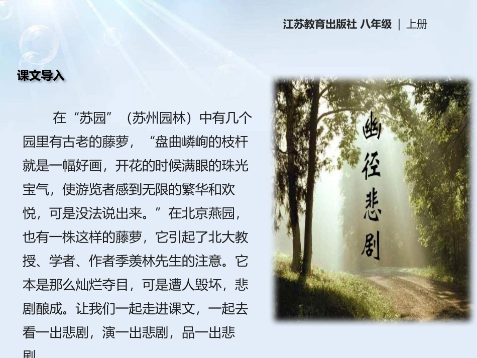 《幽径悲剧》PPT课件[苏教版八年级语文上册]_第2页