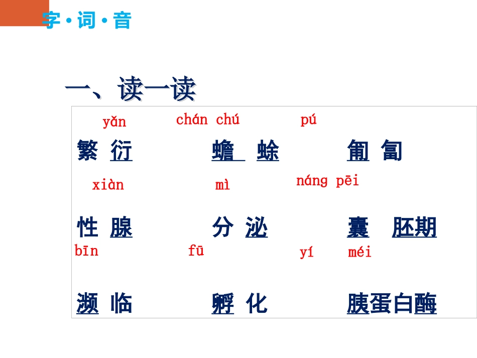 《奇妙的克隆》PPT课件[苏教版八年级语文上册]_第3页