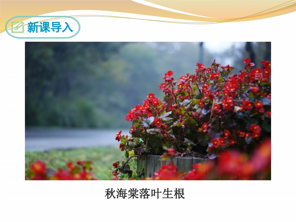 《奇妙的克隆》PPT课件[苏教版八年级语文上册]_第3页