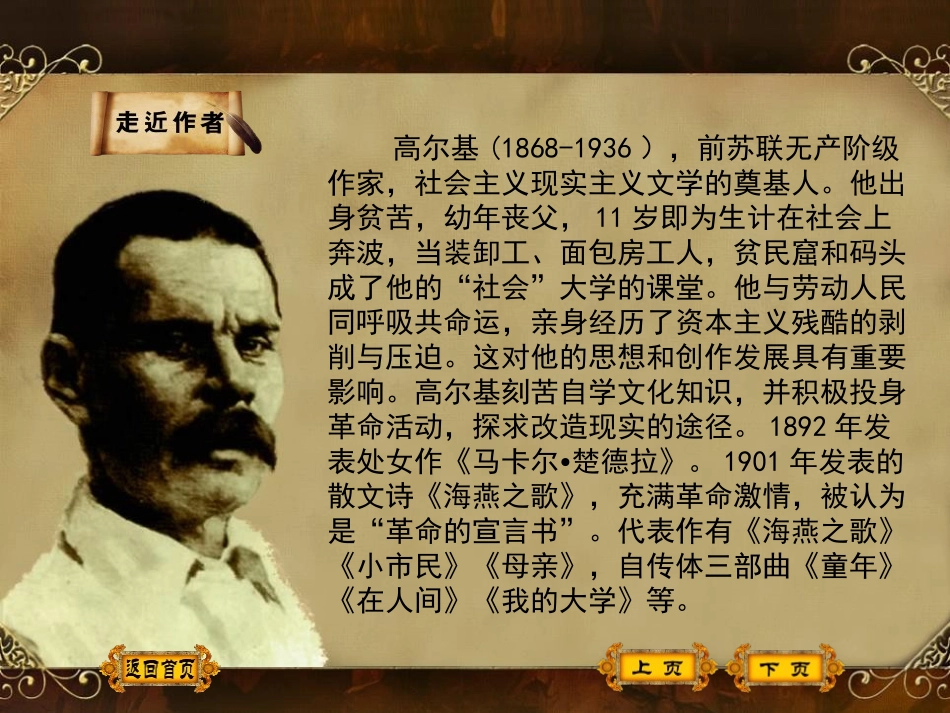 《海燕》PPT优秀课件[苏教版八年级语文下册]_第2页