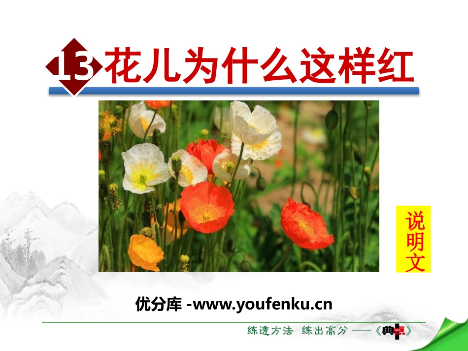 《花儿为什么这样红》PPT课件[苏教版八年级语文下册]_第1页