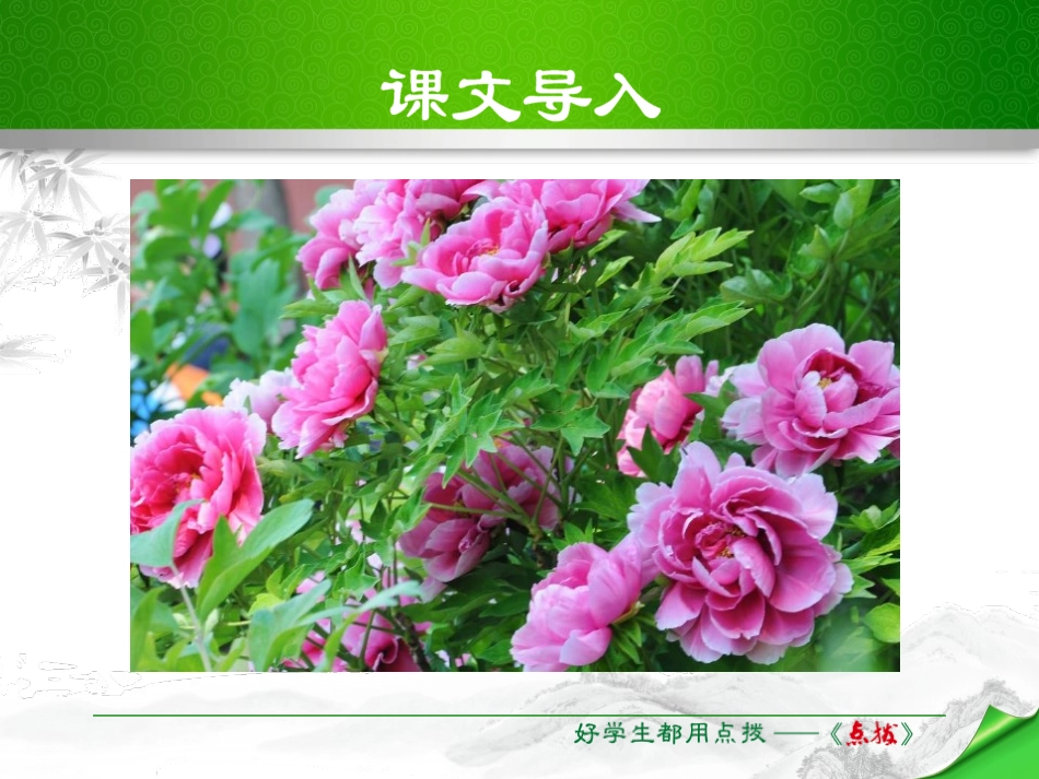 《花儿为什么这样红》PPT课件[苏教版八年级语文下册]_第2页