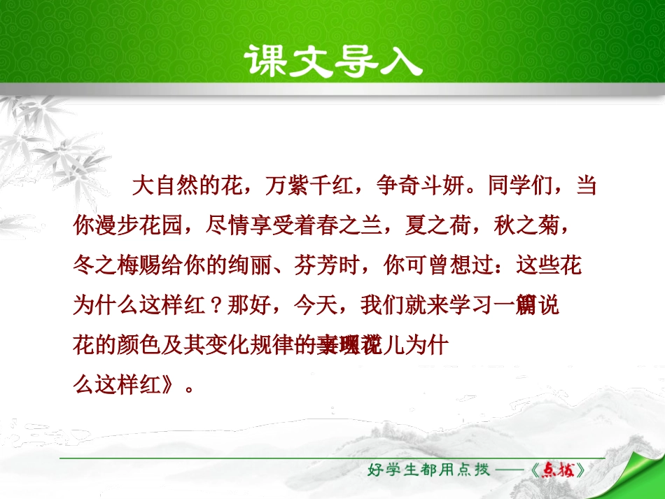 《花儿为什么这样红》PPT课件[苏教版八年级语文下册]_第3页