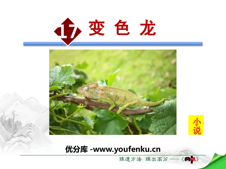《变色龙》PPT精品课件[苏教版八年级语文下册]_第1页