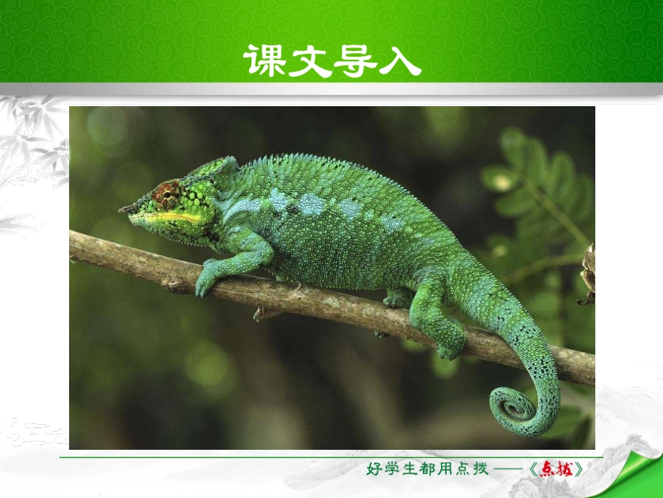 《变色龙》PPT精品课件[苏教版八年级语文下册]_第2页