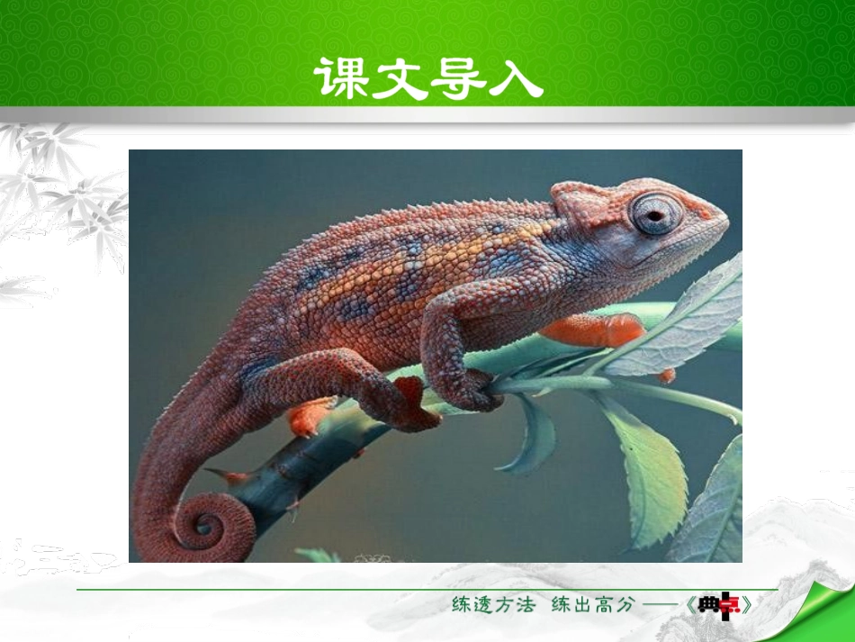 《变色龙》PPT精品课件[苏教版八年级语文下册]_第3页