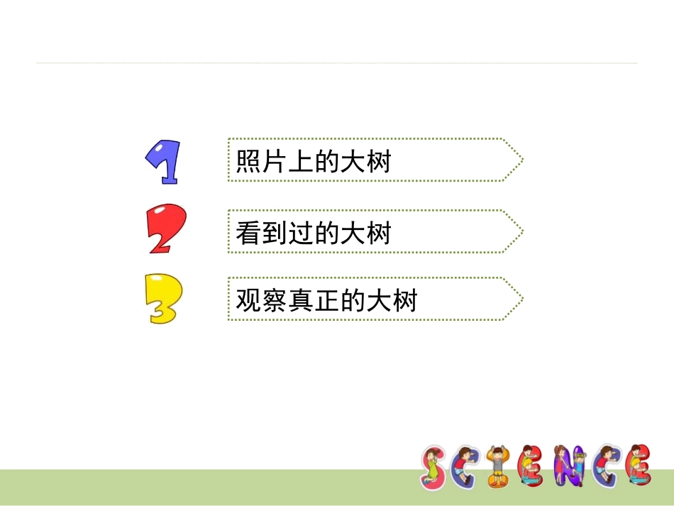 《我看到了什么》植物PPT课件[教科版三年级科学上册]_第2页