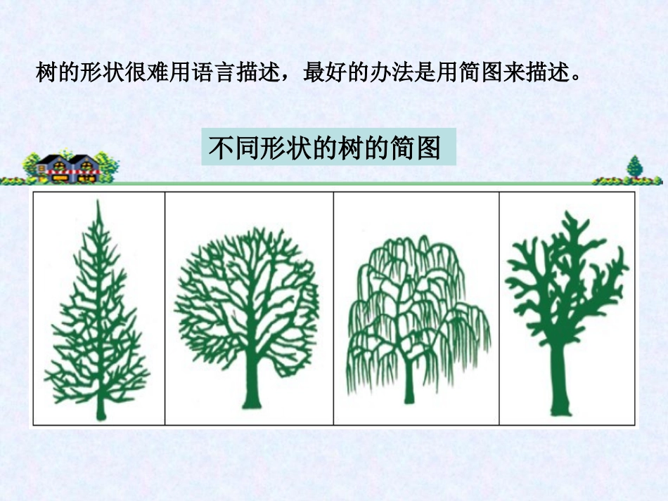 《校园的树木》植物PPT课件[教科版三年级科学上册]_第2页