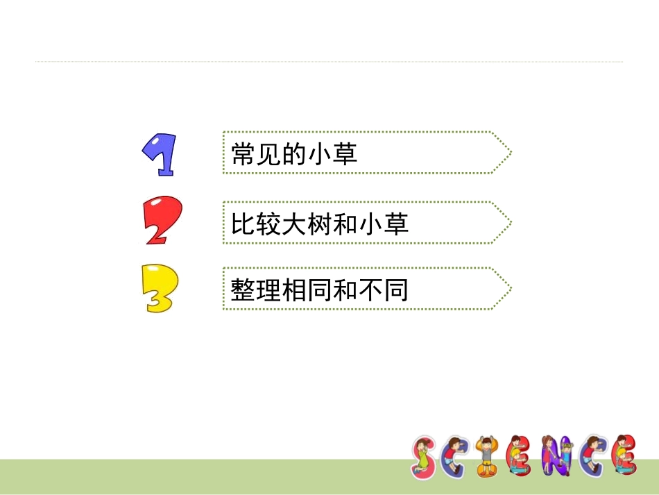 《大树和小草》植物PPT课件[教科版三年级科学上册]_第2页