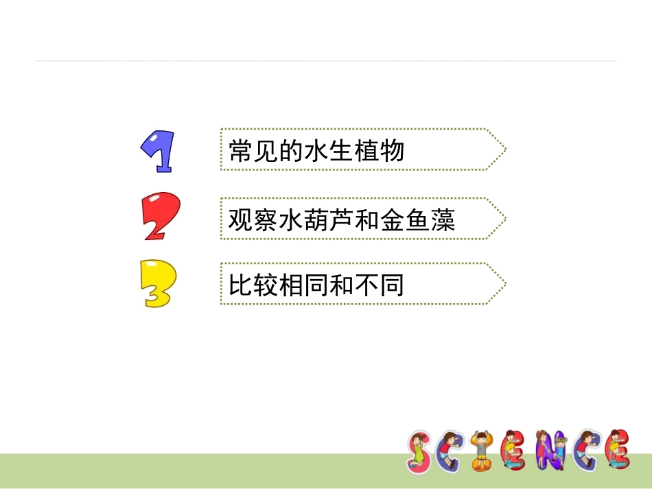 《水生植物》植物PPT课件[教科版三年级科学上册]_第2页