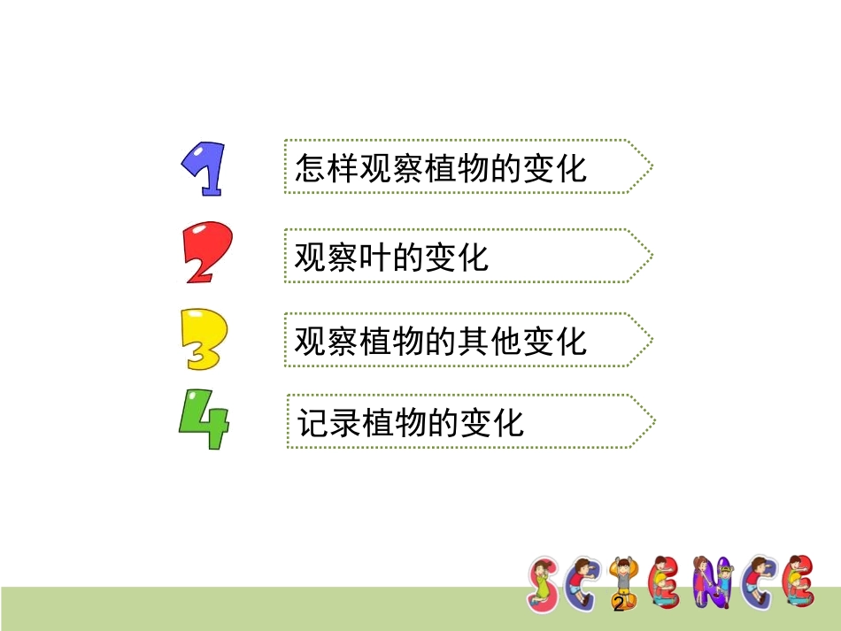 《植物发生了什么变化》植物PPT课件[教科版三年级科学上册]_第2页