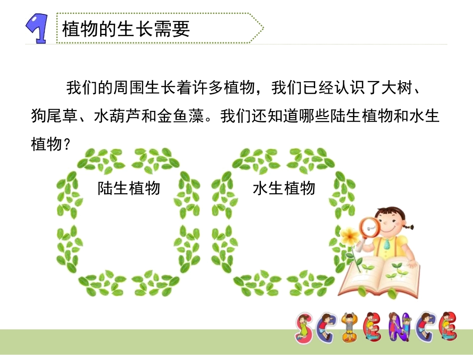 《植物的共同特点》植物PPT课件[教科版三年级科学上册]_第3页