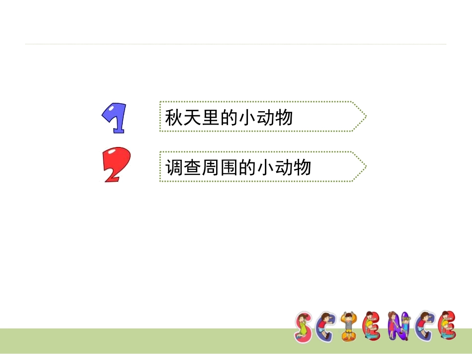 《寻访小动物》动物PPT课件[教科版三年级科学上册]_第2页
