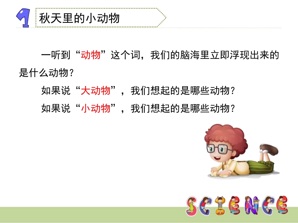 《寻访小动物》动物PPT课件[教科版三年级科学上册]_第3页