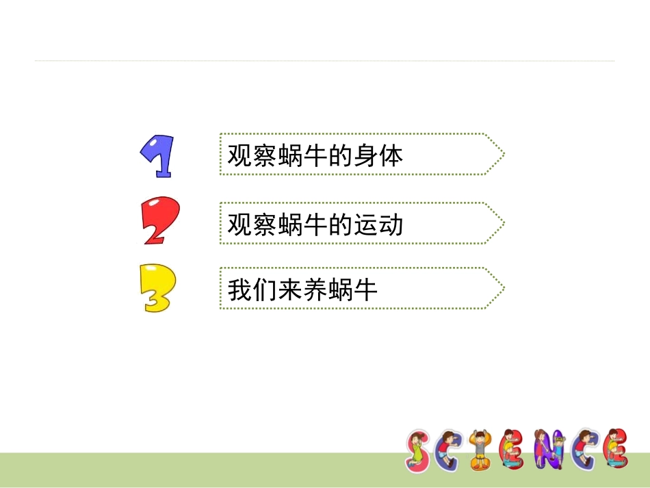 《蜗牛(一)》动物PPT课件[教科版三年级科学上册]_第3页