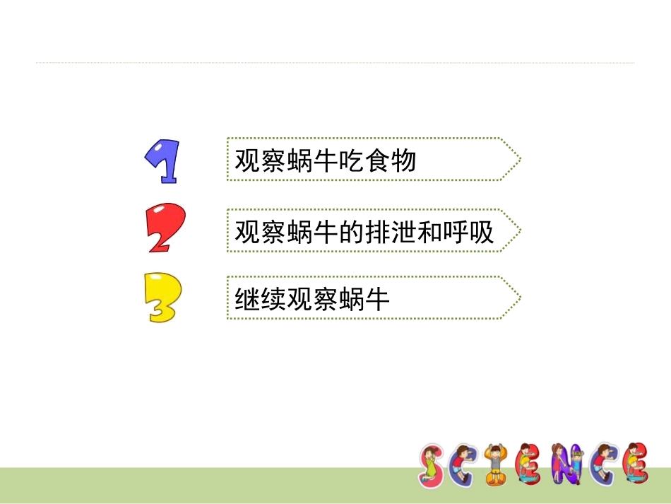 《蜗牛(二)》动物PPT课件[教科版三年级科学上册]_第3页
