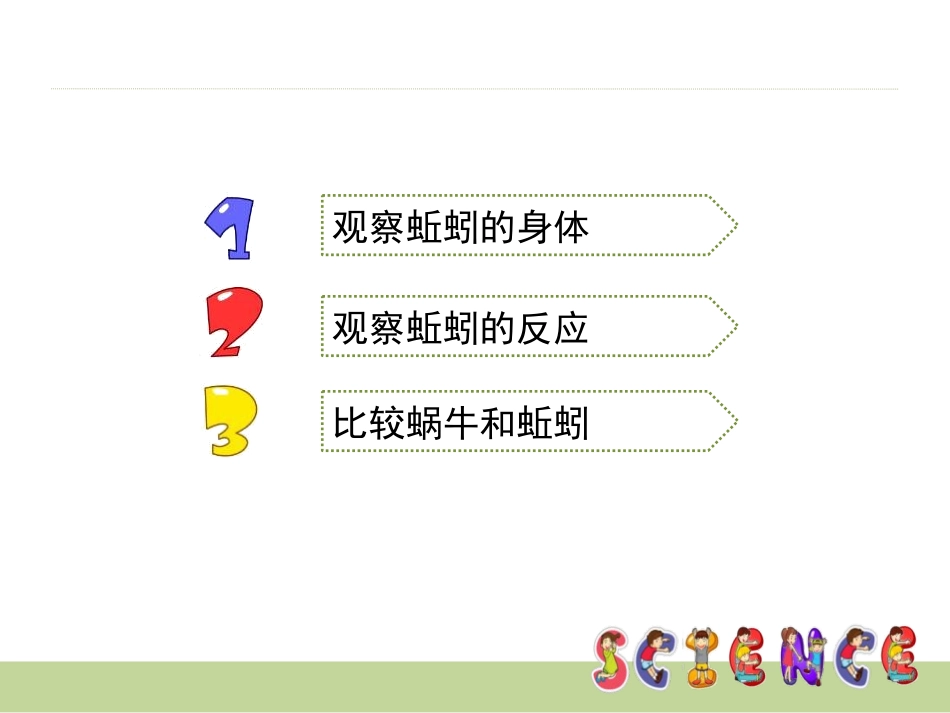 《蚯蚓》动物PPT课件[教科版三年级科学上册]_第3页