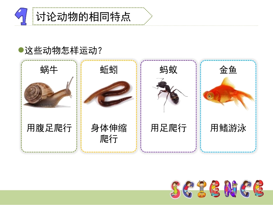 《动物的共同特点》动物PPT课件[教科版三年级科学上册]_第2页