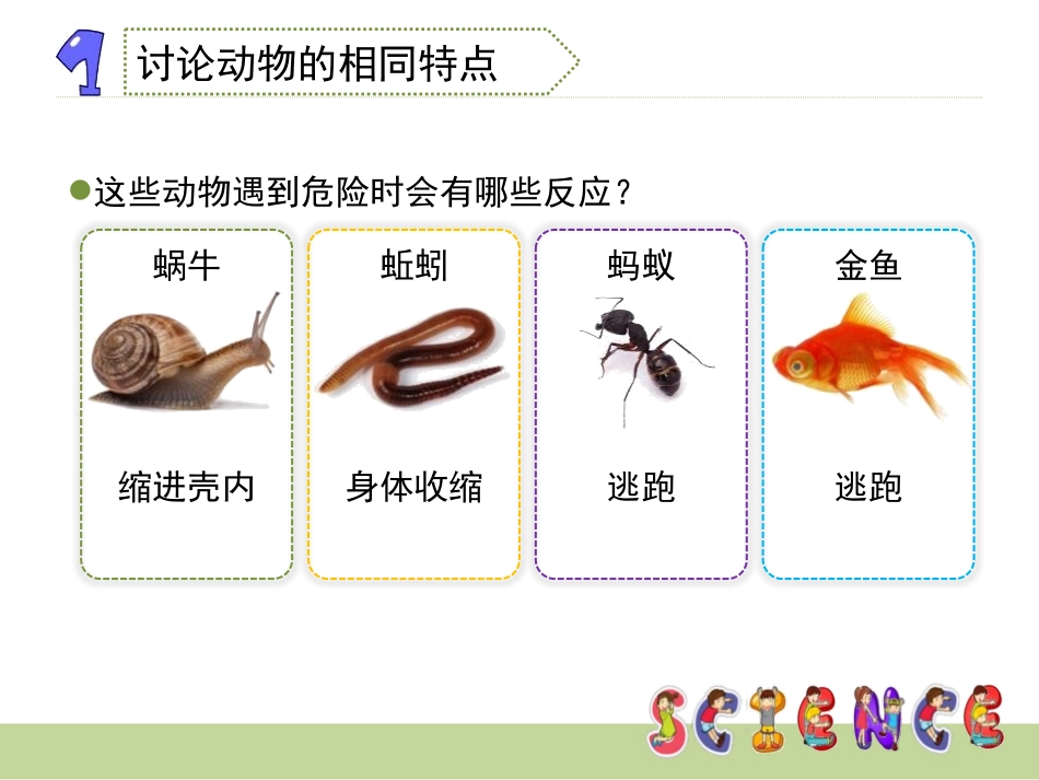 《动物的共同特点》动物PPT课件[教科版三年级科学上册]_第3页