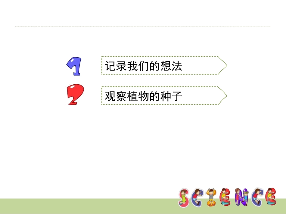 《植物新生命的开始》植物的生长变化PPT课件[教科版三年级科学]_第2页