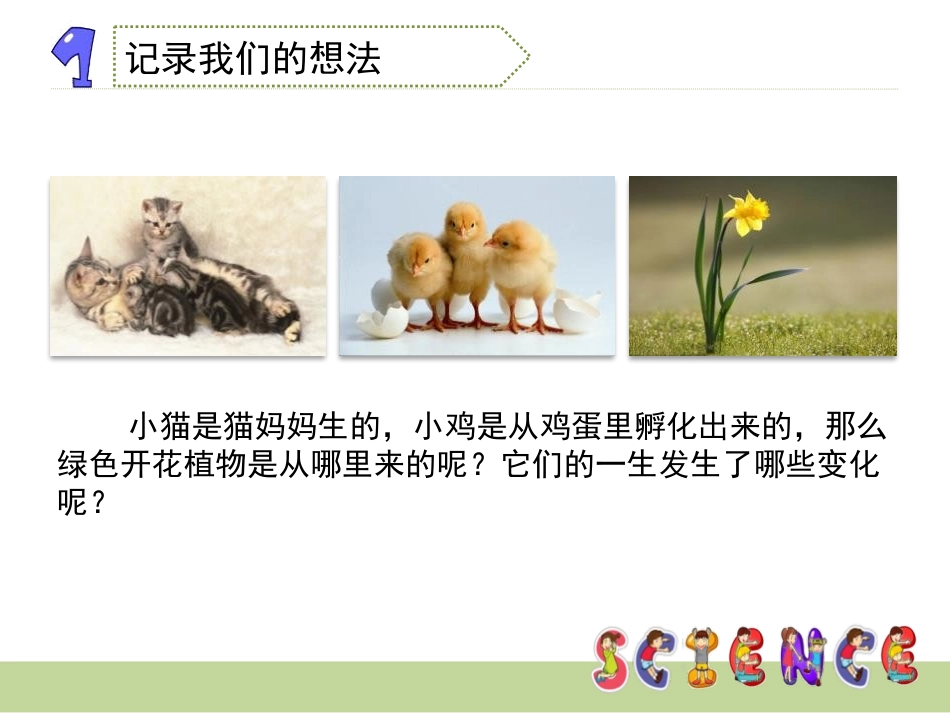 《植物新生命的开始》植物的生长变化PPT课件[教科版三年级科学]_第3页
