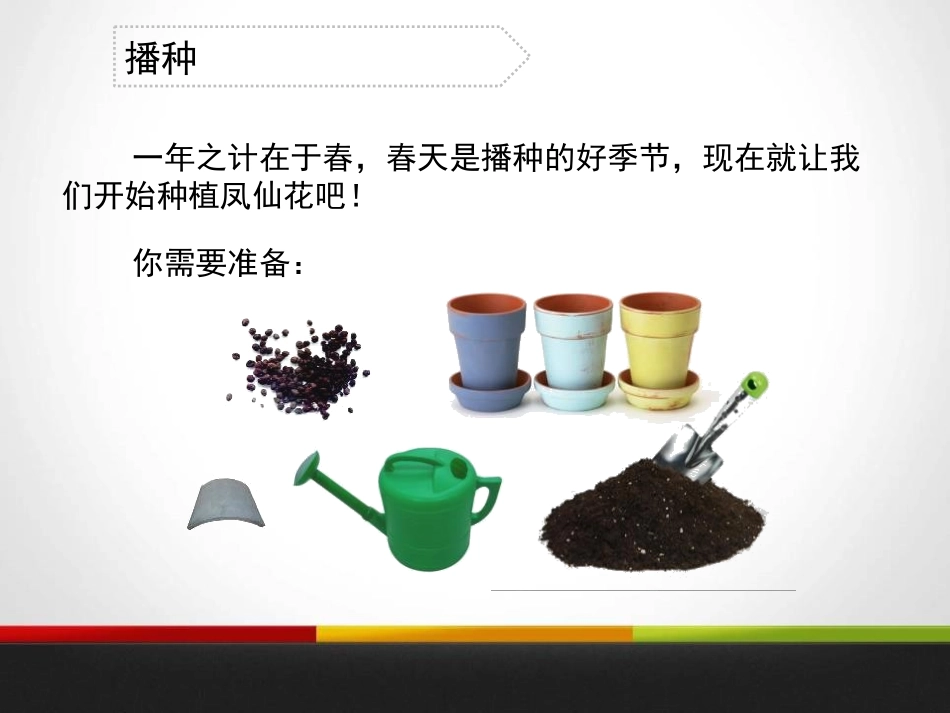 《种植我们的植物》植物的生长变化PPT课件[教科版三年级科学]_第3页