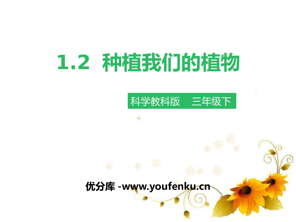 《种植我们的植物》植物的生长变化PPT课件[教科版三年级科学]_第1页