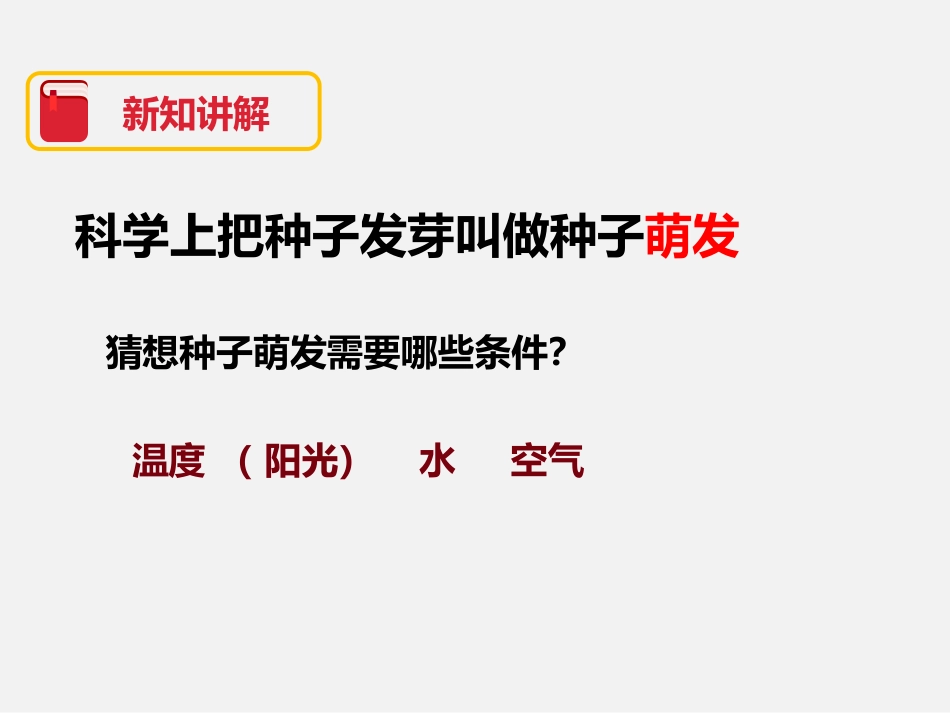 《种植我们的植物》植物的生长变化PPT课件[教科版三年级科学]_第3页
