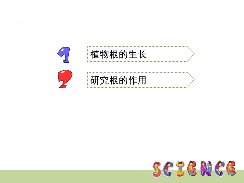 《我们先看到了根》植物的生长变化PPT课件[教科版三年级科学]_第2页