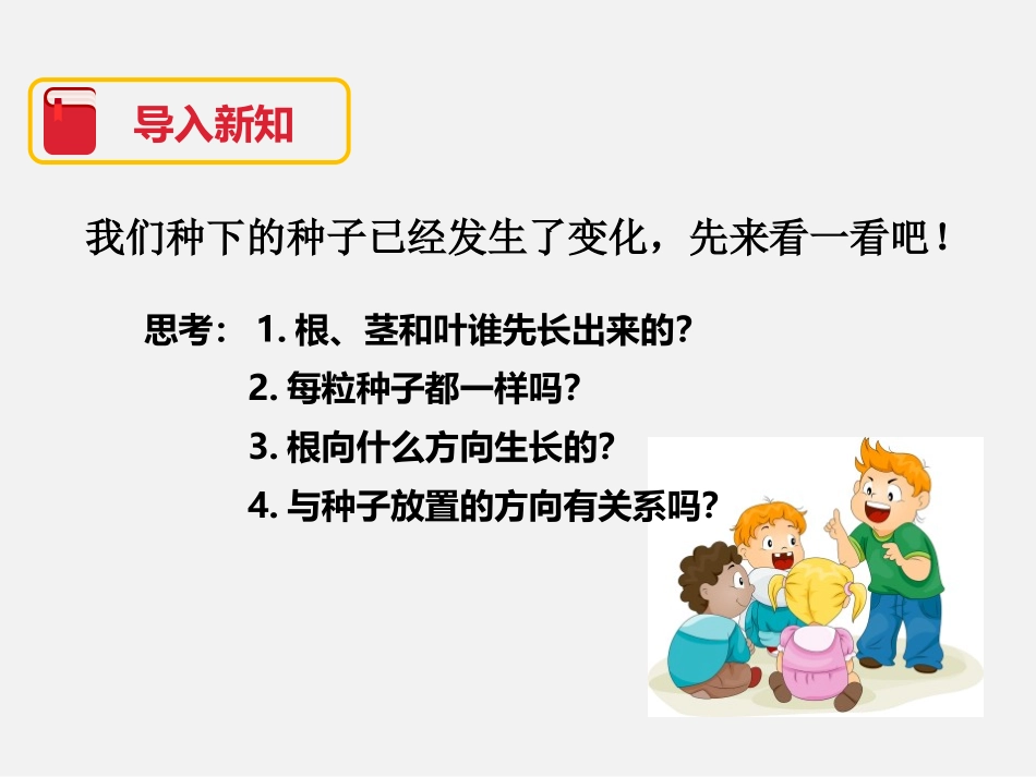《我们先看到了根》植物的生长变化PPT课件[教科版三年级科学]_第3页