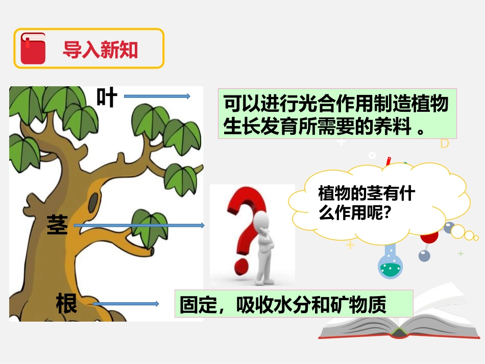 《茎越长越高》植物的生长变化PPT课件[教科版三年级科学]_第2页