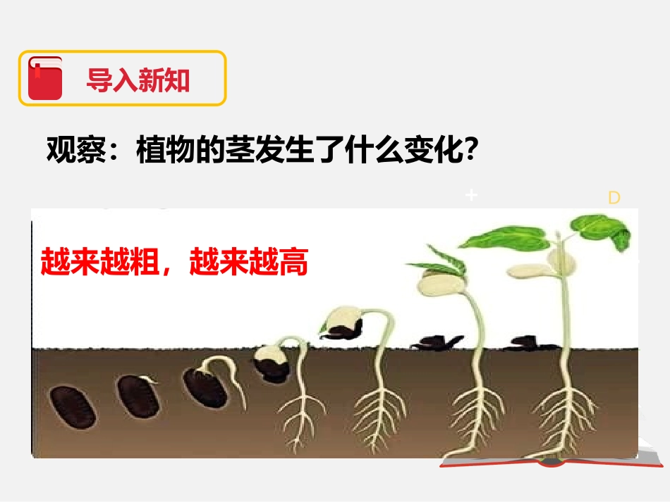 《茎越长越高》植物的生长变化PPT课件[教科版三年级科学]_第3页