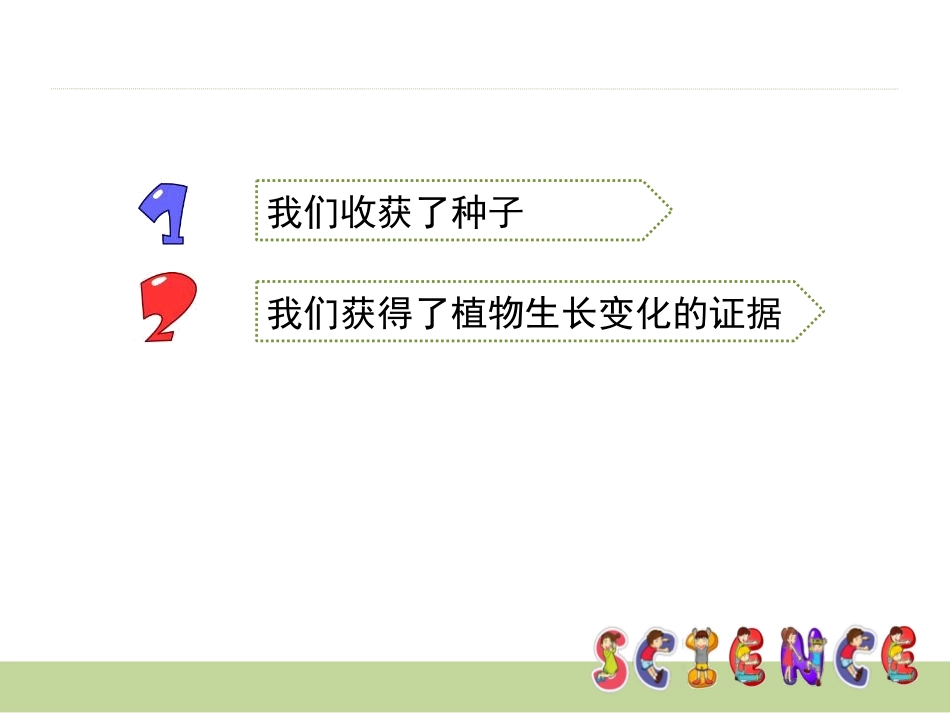 《我们的大丰收》植物的生长变化PPT课件[教科版三年级科学]_第2页