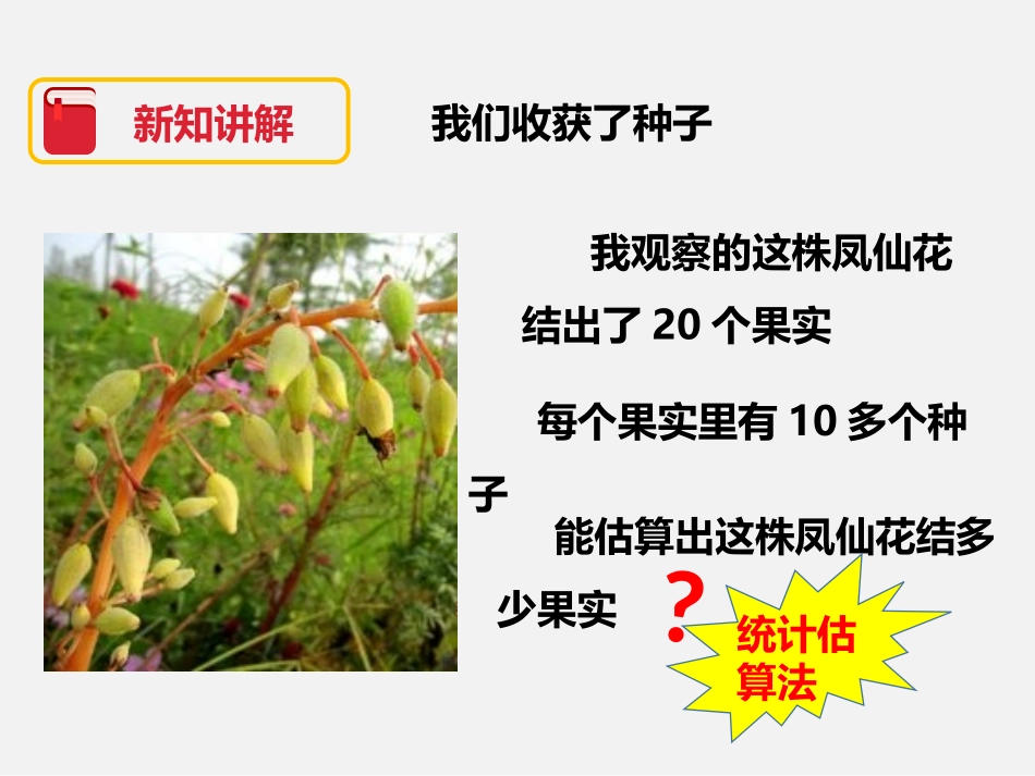 《我们的大丰收》植物的生长变化PPT课件[教科版三年级科学]_第3页