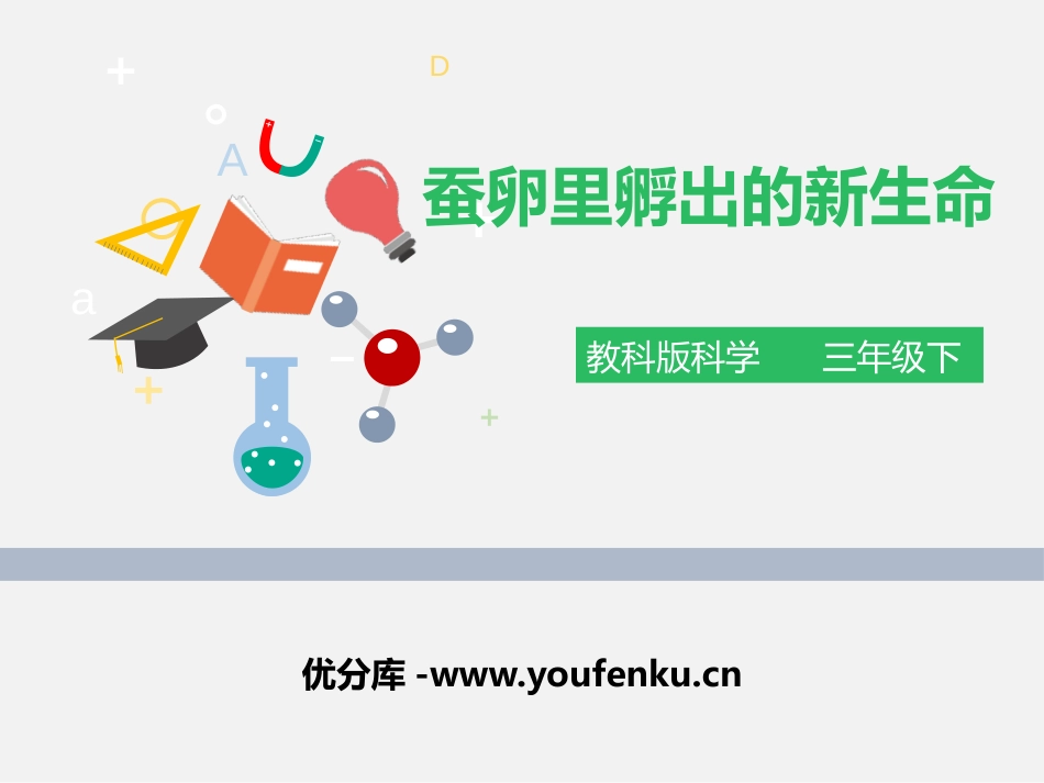 《蚕卵里孵出的新生命》动物的生命周期PPT课件[教科版三年级科学]_第1页