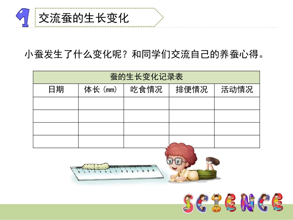 《蚕的生长变化》动物的生命周期PPT课件[教科版三年级科学]_第3页