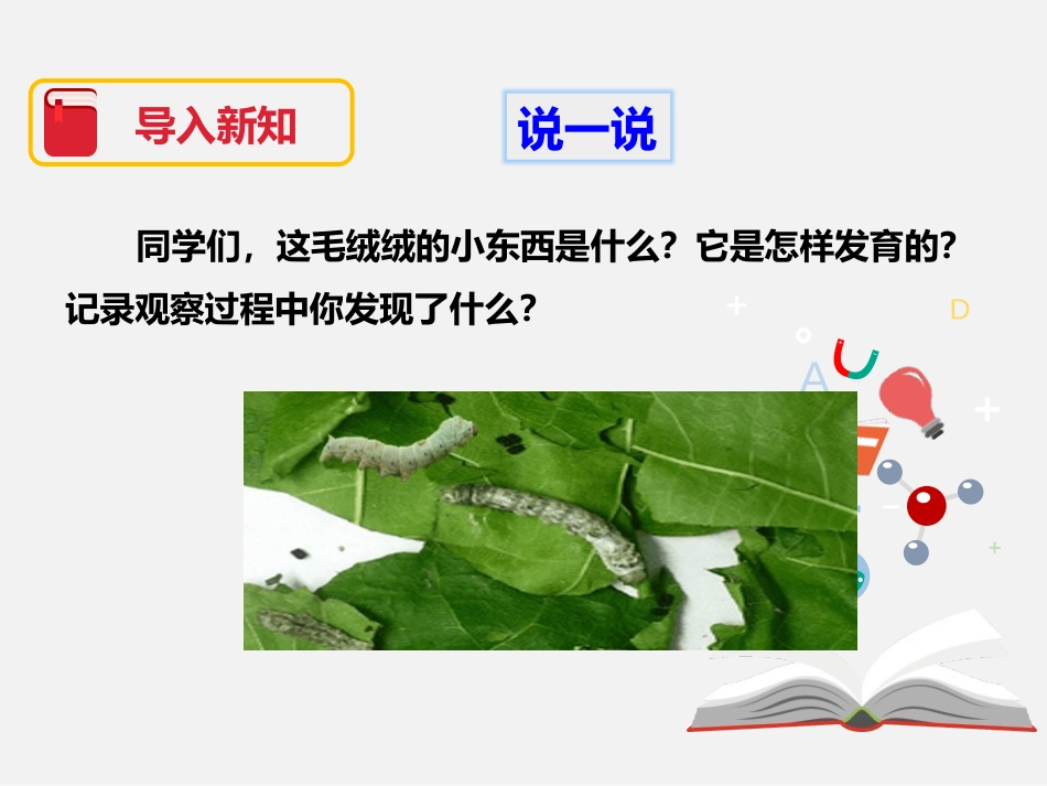 《蚕的生长变化》动物的生命周期PPT课件[教科版三年级科学]_第2页