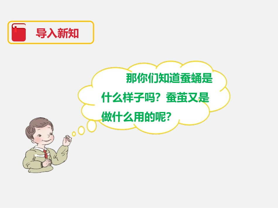 《蚕变了新模样》动物的生命周期PPT课件[教科版三年级科学]_第2页