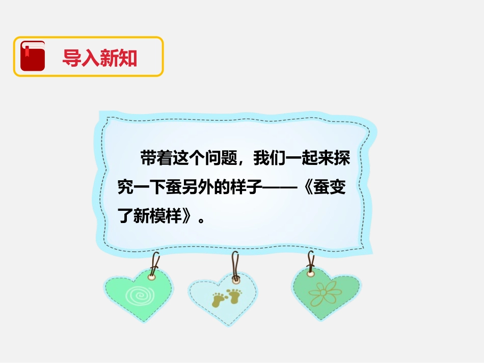 《蚕变了新模样》动物的生命周期PPT课件[教科版三年级科学]_第3页