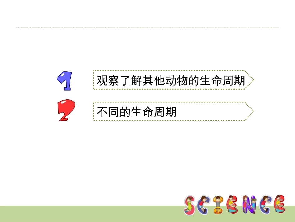 《其他动物的生命周期》动物的生命周期PPT课件[教科版三年级科学]_第2页