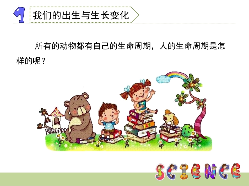 《我们的生命周期》动物的生命周期PPT课件[教科版三年级科学]_第3页