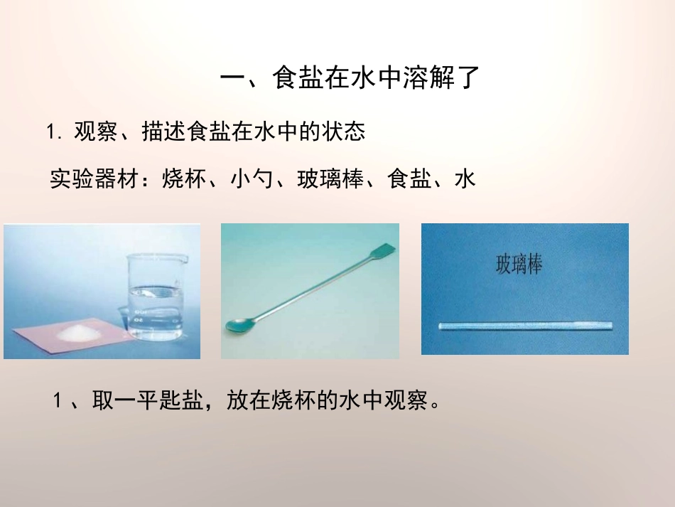 《水能溶解一些物质》溶解PPT课件[教科版四年级科学上册]_第3页