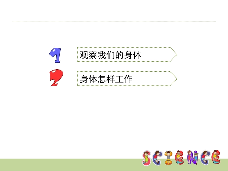 《身体的结构》我们的身体PPT课件[教科版四年级科学上册]_第3页