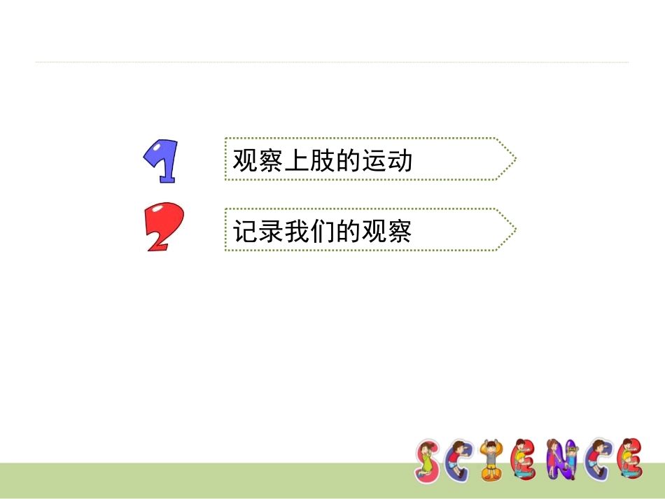 《骨骼、关节和肌肉》我们的身体PPT课件[教科版四年级科学]_第3页