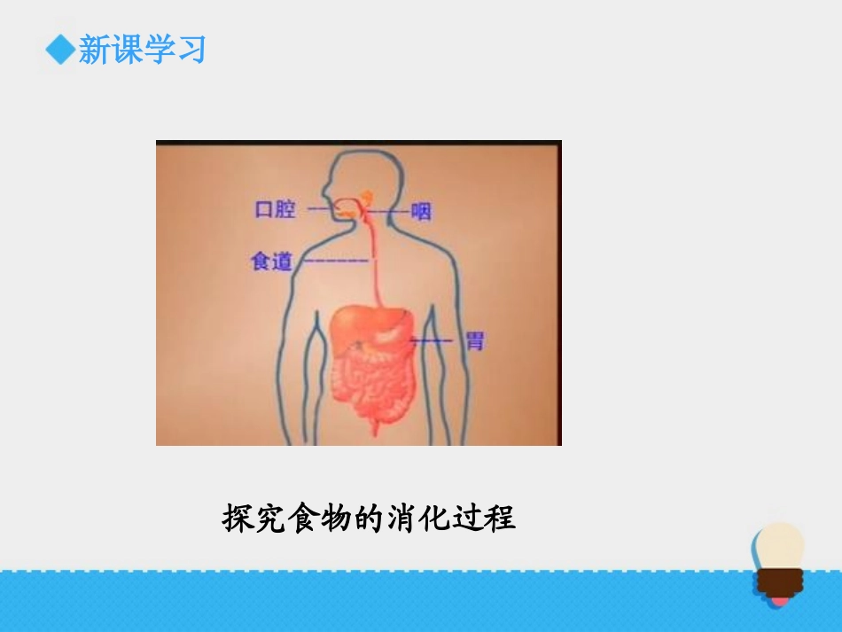 《食物在体内的旅行》我们的身体PPT课件[教科版四年级科学]_第3页
