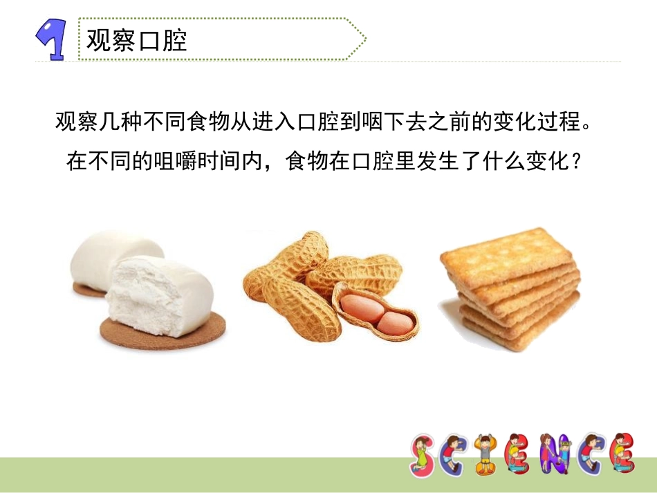 《食物在口腔里的变化》我们的身体PPT课件[教科版四年级科学]_第3页