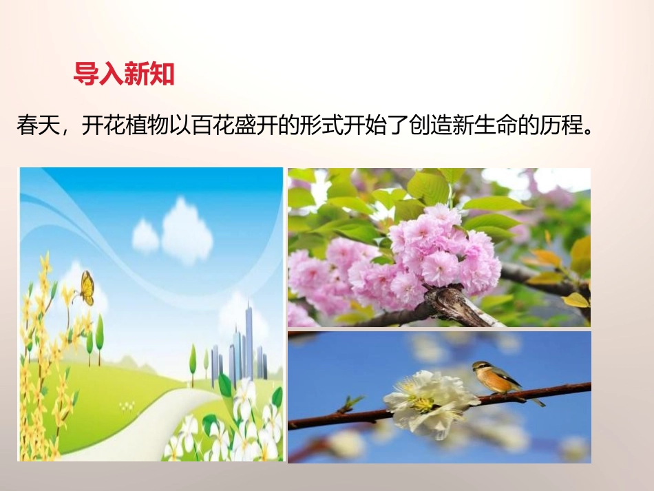 《油菜花开了》新的生命PPT课件[教科版四年级科学下册]_第2页